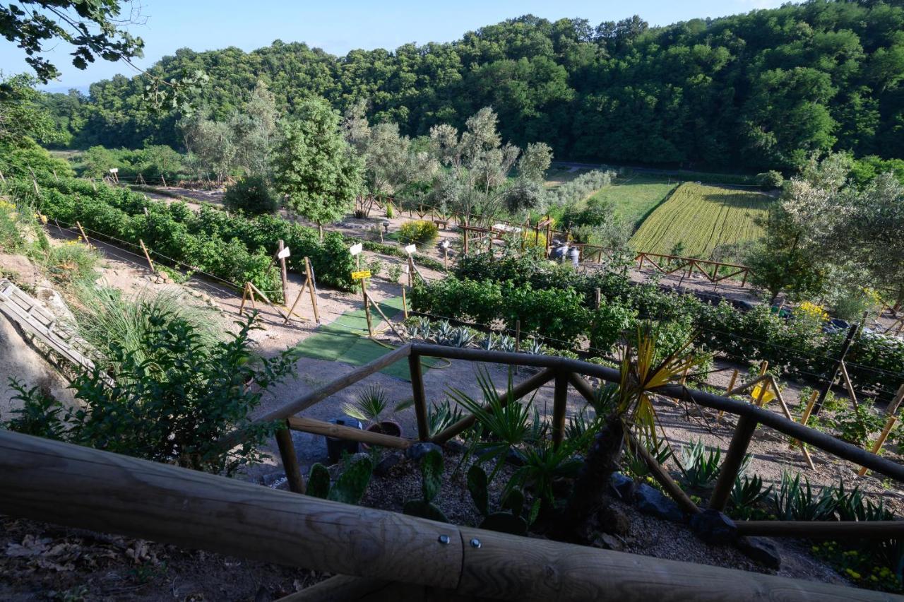 Agriturismo Le Fontane - Lago Di Bolsena Grotte di Castro Exterior foto