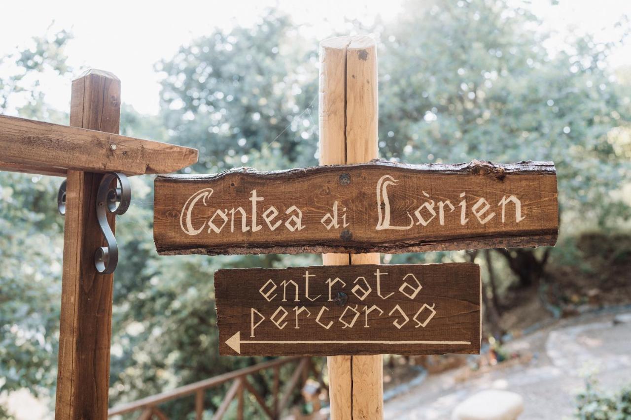 Agriturismo Le Fontane - Lago Di Bolsena Grotte di Castro Exterior foto